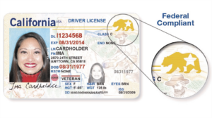 TSA proposes phased approach to Real ID